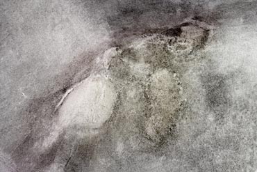 Leda und der Schwan (2006)