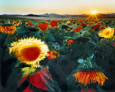 Suns's wind, 2000