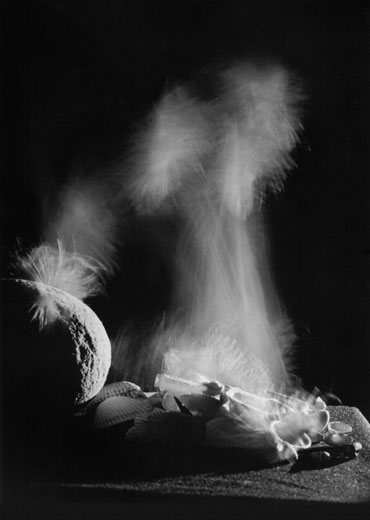 fot. Ewa Fiedorowicz