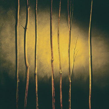 fot. Filip Wiśniewski
