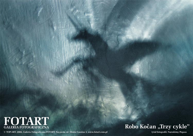 Plakat Kocan